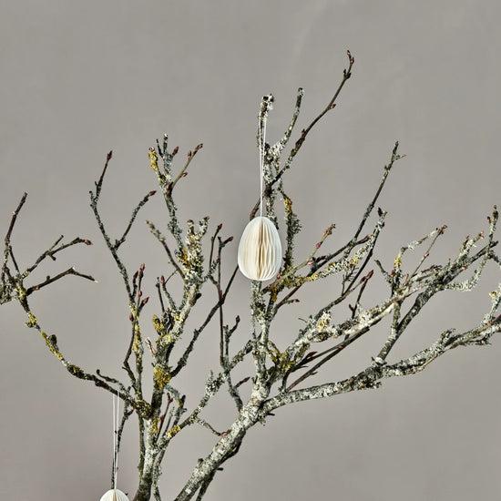 Honeycomb, HDEggs, Off-white