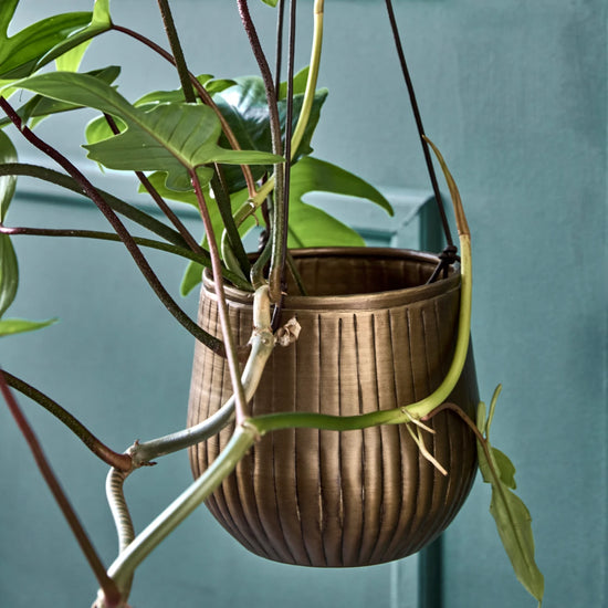 Blumentopf, HDPlan, Gold