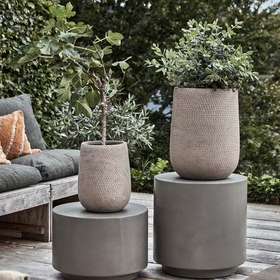 Planter, HDArdo, Nature