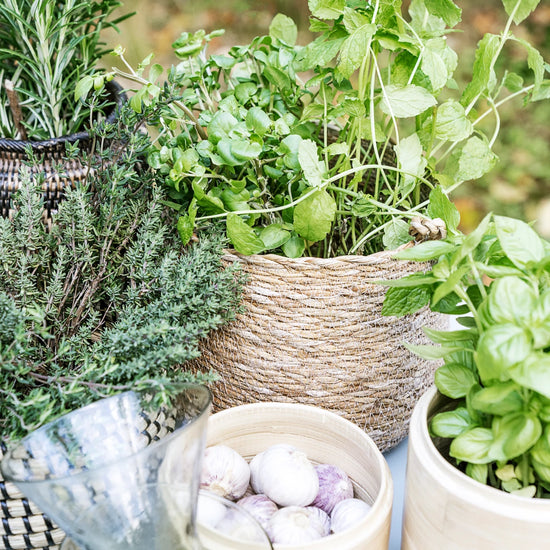 Basket, HDHang, Nature