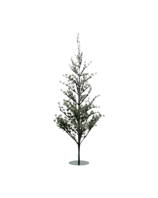 Weihnachtsbaum, Natur