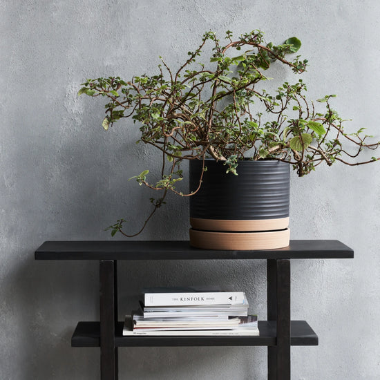 Urtepotte med underskål, HDAstu, Sort/Natural