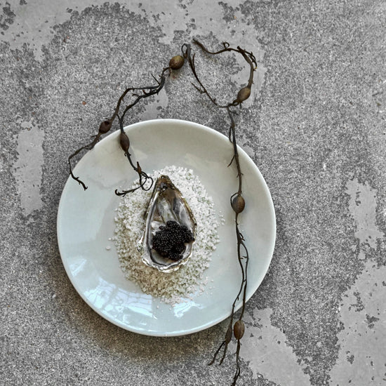 Lunch plate, HDDiva, Light blue