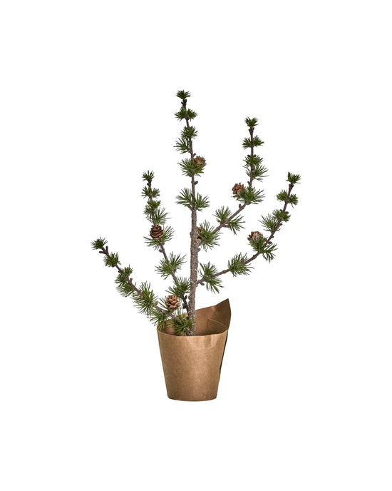 Christmas tree, HDStay, Green