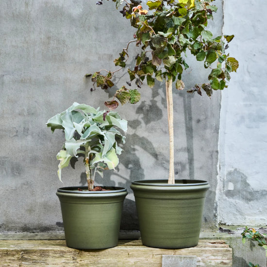 Planter, HDIvy, Green