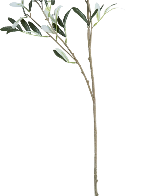 Artificial branch, HDOlive, Green