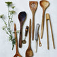 Spatula, Nature