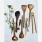 Spatula, Nature