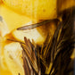 Salted lemons, Preserved, 625 g