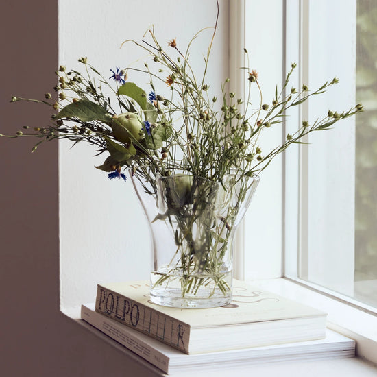 Vase, HDPlis, Clear