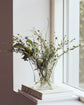 Vase, HDPlis, Clear