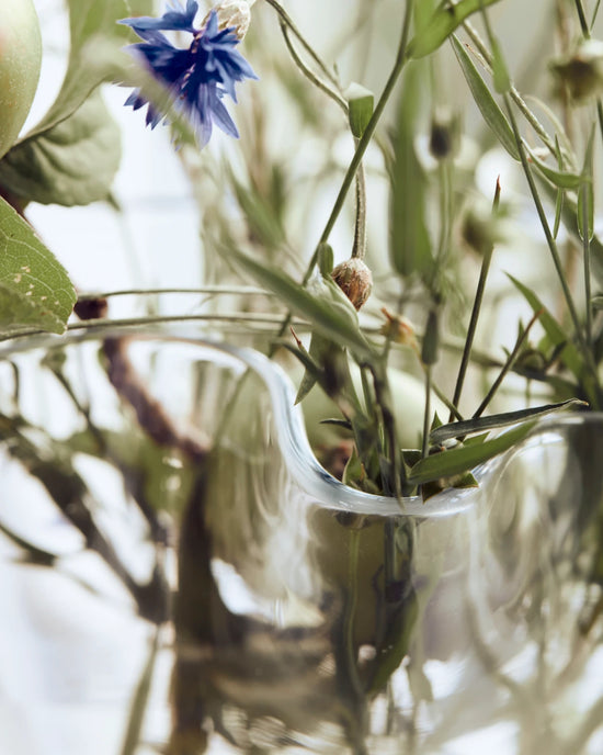 Vase, HDPlis, Clear