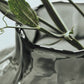 Vase, HDTurn, Smoked grey