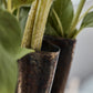 Vase, HDFlood, Antique brown