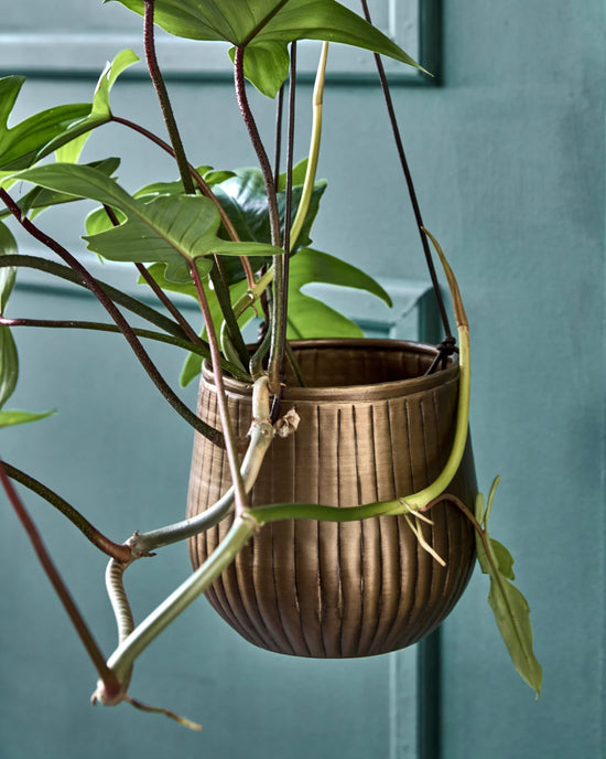 Planter, HDPlan, Golden
