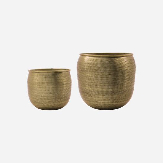 Blumentopf, HDSpot, Gold