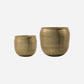 Blumentopf, HDSpot, Gold