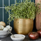Blumentopf, HDSpot, Gold