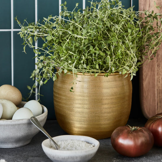 Planter, HDSpot, Golden