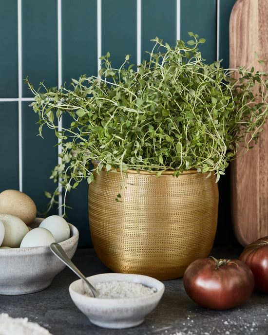 Planter, HDSpot, Golden