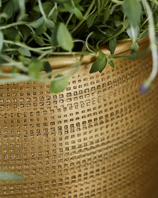 Planter, HDSpot, Golden