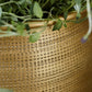 Blumentopf, HDSpot, Gold