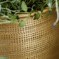 Planter, HDSpot, Golden