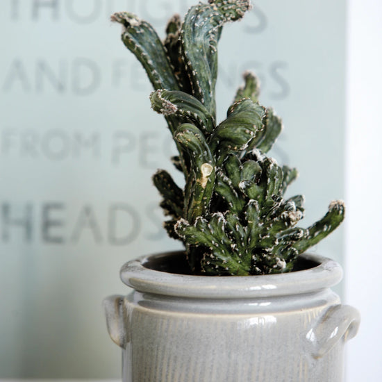 Blumenkasten, Pottery XL, Sand