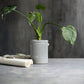 Blumenkasten, Pottery M, Hellgrau