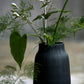 Vase, Groove, Schwarz