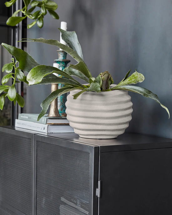 Planter, HDHapp, Off-white