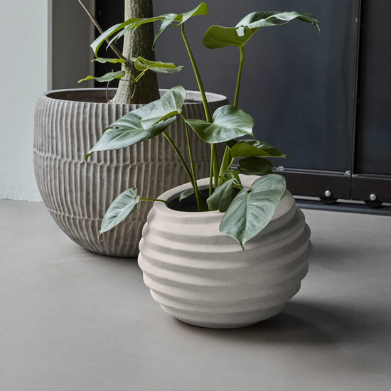 Planter, HDHapp, Off-white