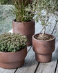 Blumentopf, HDTerra, Antikes Braun