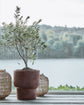 Planter, HDTerra, Antique brown