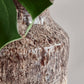 Vase, HDMaya, Antik brun
