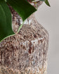 Vase, HDMaya, Antikes Braun