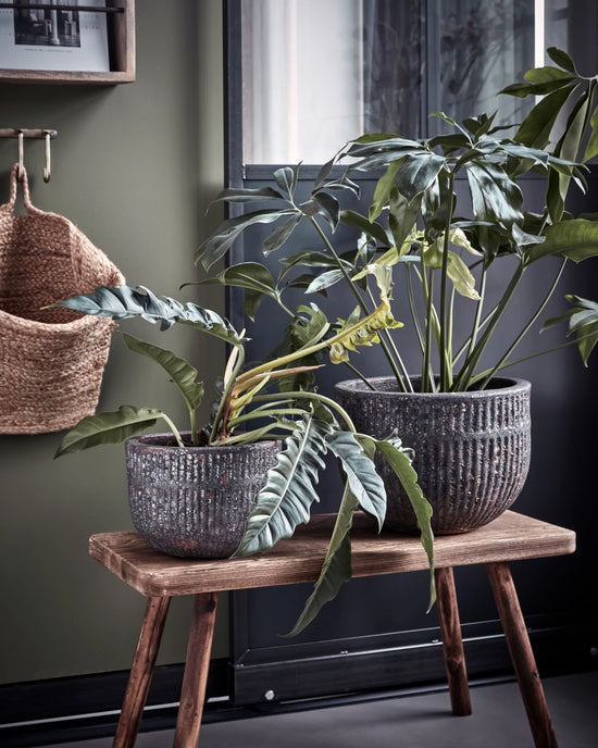 Planter, HDSuco, Grey