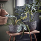 Planter, HDSuco, Grey