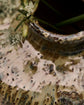 Vase, HDBodi, Brown