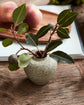Vase, HDTino, Grey