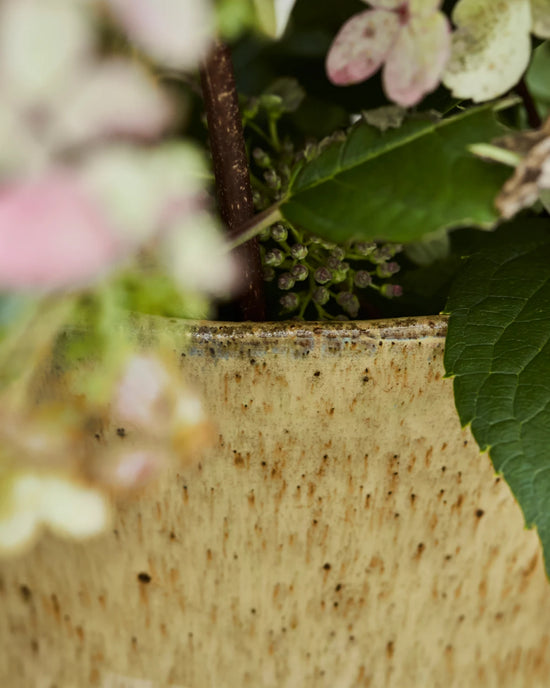 Vase, HDCorp, Beige