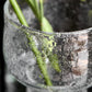 Vase, HDTuur, Clear
