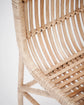 Chair, HDCuun, Nature