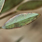 Candle stand, HDLeaves, Antique green
