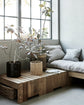 Tisch, Woodie, Natur