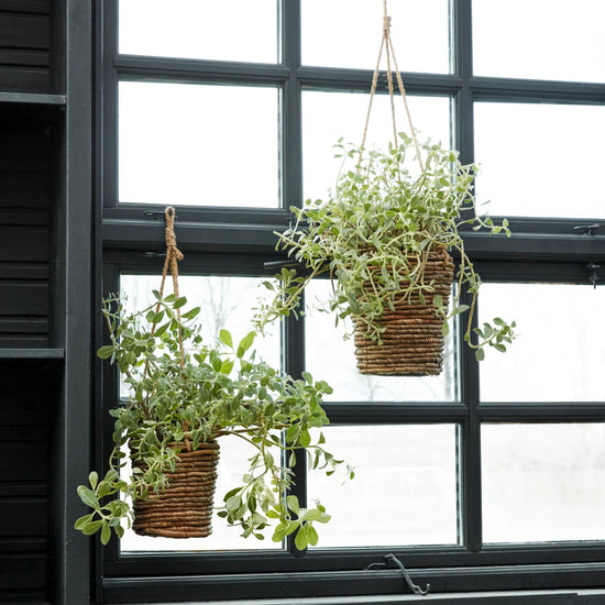 Planter, HDHover, Natural