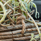 Planter, HDHover, Natural