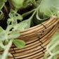 Planter, HDBoum, Nature