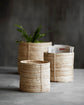 Basket, HDChaka, Nature