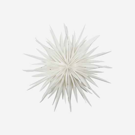 Stern, Dust, Off-White